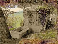 Il pozzo delle Querciole