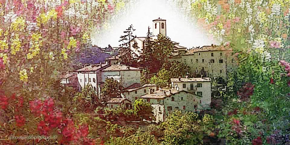 Montecorone di Zocca - Tra i fiori